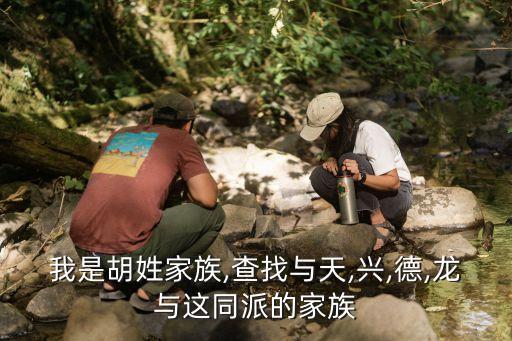 我是胡姓家族,查找与天,兴,德,龙与这同派的家族