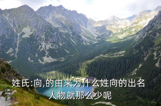 姓王的历史人物有哪些 出名,姓向的有哪些历史人物