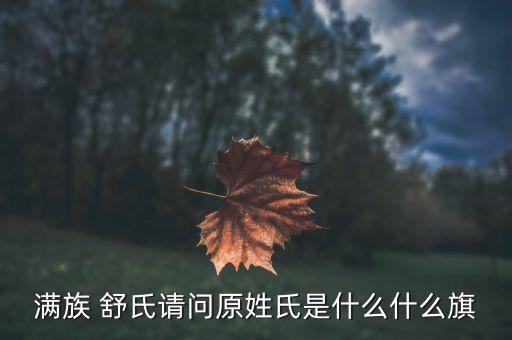 满族 舒氏请问原姓氏是什么什么旗