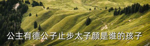 公主有德公子止步太子颜是谁的孩子