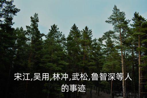 宋江,吴用,林冲,武松,鲁智深等人的事迹