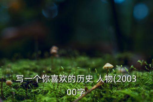 喜欢的历史人物及原因 200,喜欢什么历史人物的原因