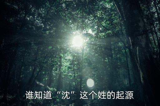 谁知道“沈”这个姓的起源