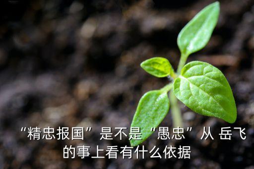 “精忠报国”是不是“愚忠”从 岳飞的事上看有什么依据