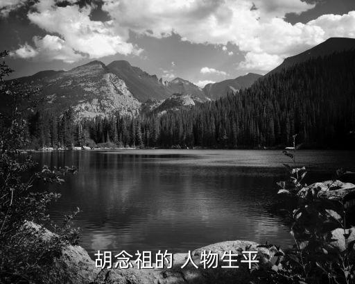 胡念祖的 人物生平