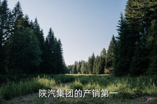 ,新能源历史人物有哪些国家