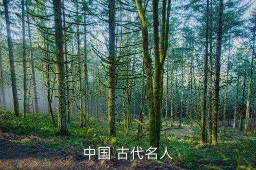 你知道哪些古代的历史人物,中国古代历史人物故事有哪些50字