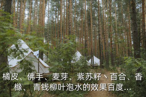 橘皮、佛手、麦芽、紫苏籽丶百合、香橼、 青钱柳叶泡水的效果百度...