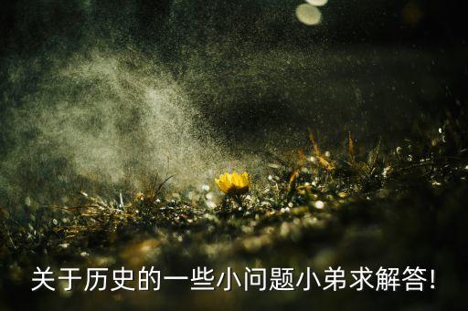 关于历史的一些小问题小弟求解答!