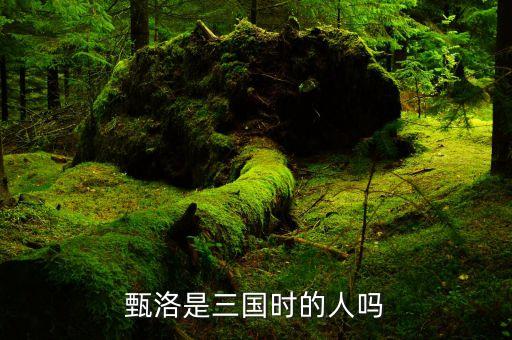 甄洛是三国时的人吗