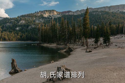 胡,氏家谱排列