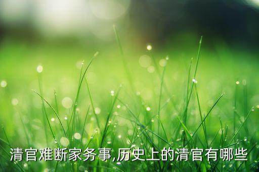 清官难断家务事,历史上的清官有哪些