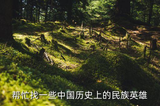 帮忙找一些中国历史上的民族英雄