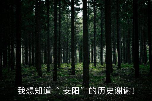 我想知道“ 安阳”的历史谢谢!