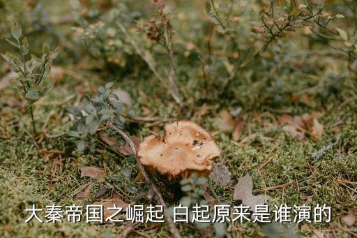 历史人物白起简介,白起还有哪些历史人物