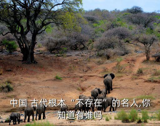 中国 古代根本“不存在”的名人,你知道有谁吗