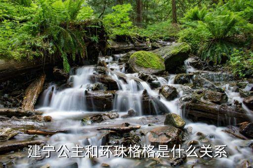  建宁公主和环珠格格是什么关系