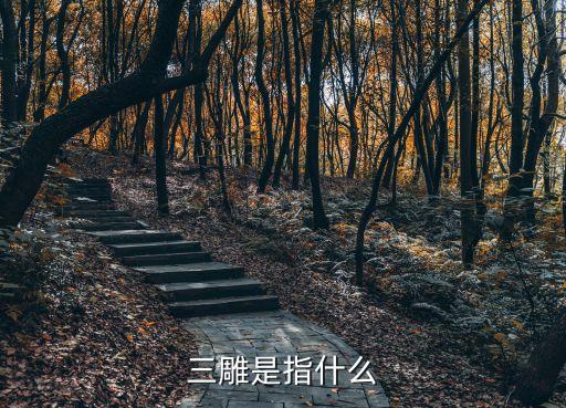 三雕是指什么