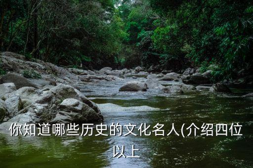 你知道哪些历史的文化名人(介绍四位以上