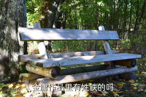 金庸作品里有姓铁的吗