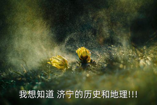 我想知道 济宁的历史和地理!!!