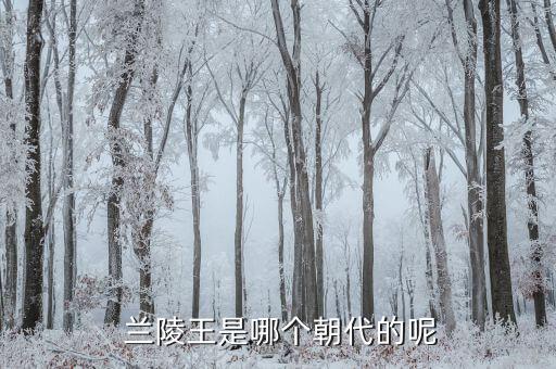  兰陵王是哪个朝代的呢