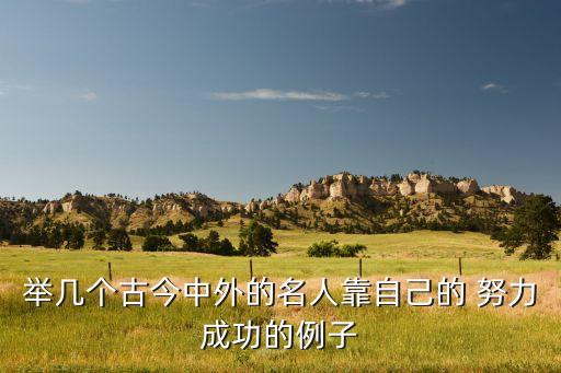 哪些历史人物经过努力成功,有野心且成功历史人物有哪些