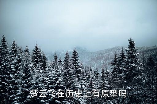 楚云飞在历史上有原型吗