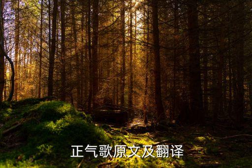 正气歌列举哪些历史人物,文天祥正气歌中列举了几位历史人物