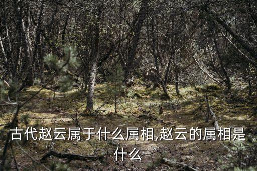古代赵云属于什么属相,赵云的属相是什么