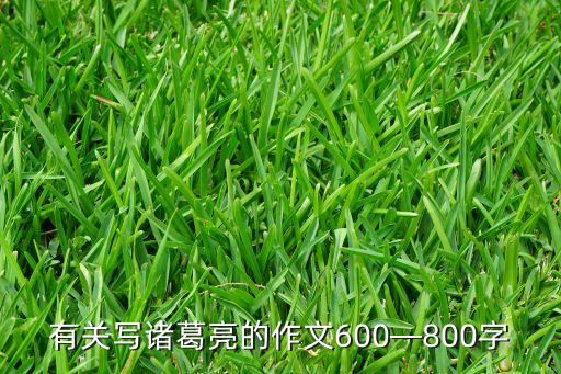 有关写诸葛亮的作文600—800字