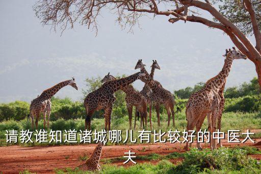 请教谁知道诸城哪儿有比较好的中医大夫
