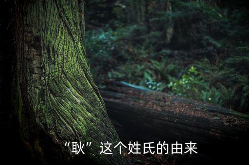 “耿”这个姓氏的由来