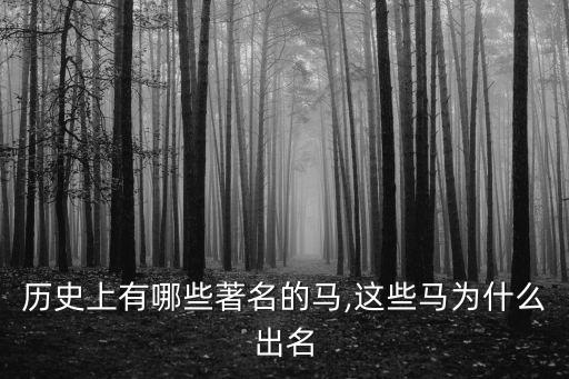 历史上有哪些著名的马,这些马为什么出名