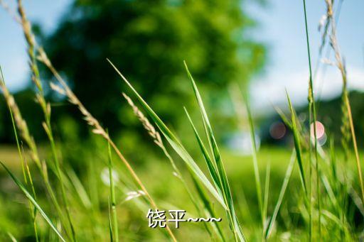  饶平~~~