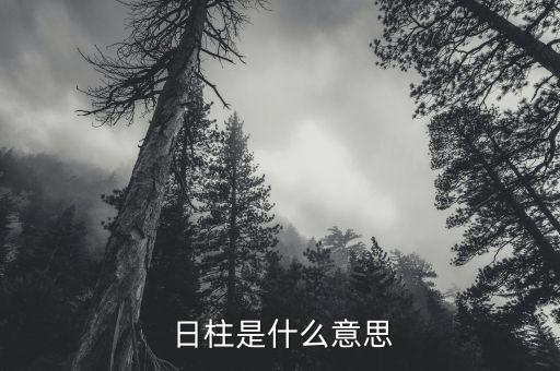 ,日柱代表哪些历史人物