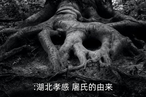 :湖北孝感 屠氏的由来