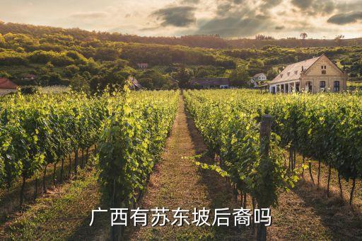 广西有苏东坡后裔吗