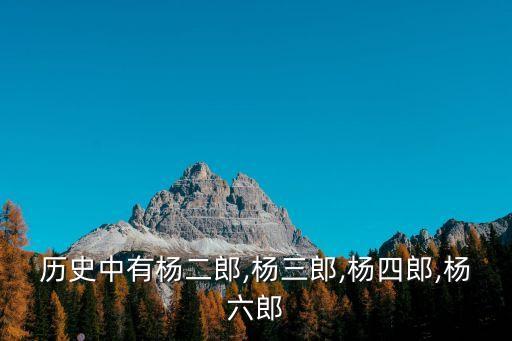 历史人物杨什么志,姓杨的女性历史人物