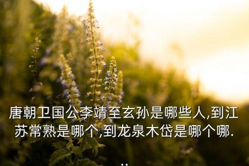 唐朝卫国公李靖至玄孙是哪些人,到江苏常熟是哪个,到龙泉木岱是哪个哪...