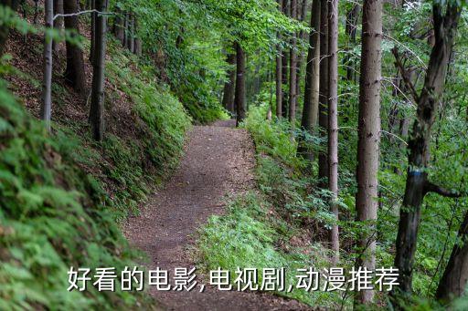 好看的电影,电视剧,动漫推荐
