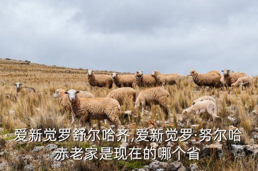 爱新觉罗舒尔哈齐,爱新觉罗·努尔哈赤老家是现在的哪个省