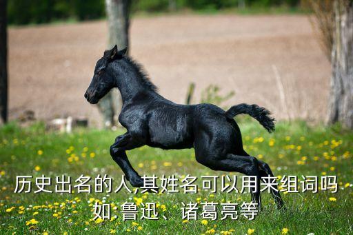 历史出名的人,其姓名可以用来组词吗如:鲁迅、诸葛亮等
