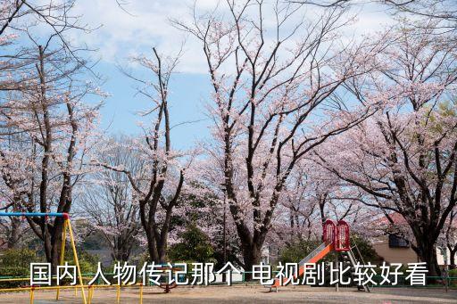 国内 人物传记那个 电视剧比较好看