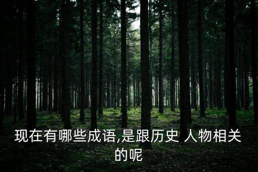 现在有哪些成语,是跟历史 人物相关的呢