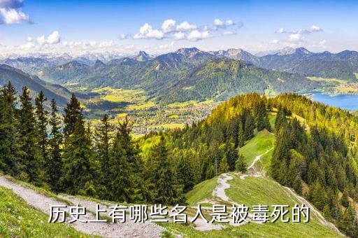 历史人物犯什么病,犯过重大错误的历史人物