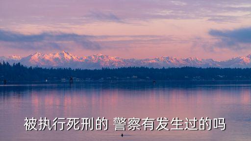 被执行死刑的 警察有发生过的吗