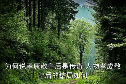 为何说孝康敬皇后是传奇 人物孝成敬皇后的结局如何