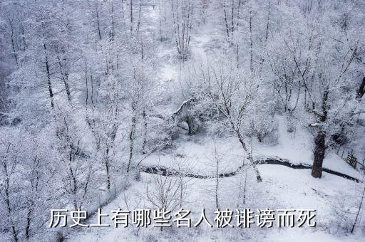 不正确评价历史人物有什么后果吗,辱骂历史人物有什么后果