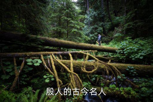姓杨的姓氏来源和历史人物,殷姓氏历史人物有哪些